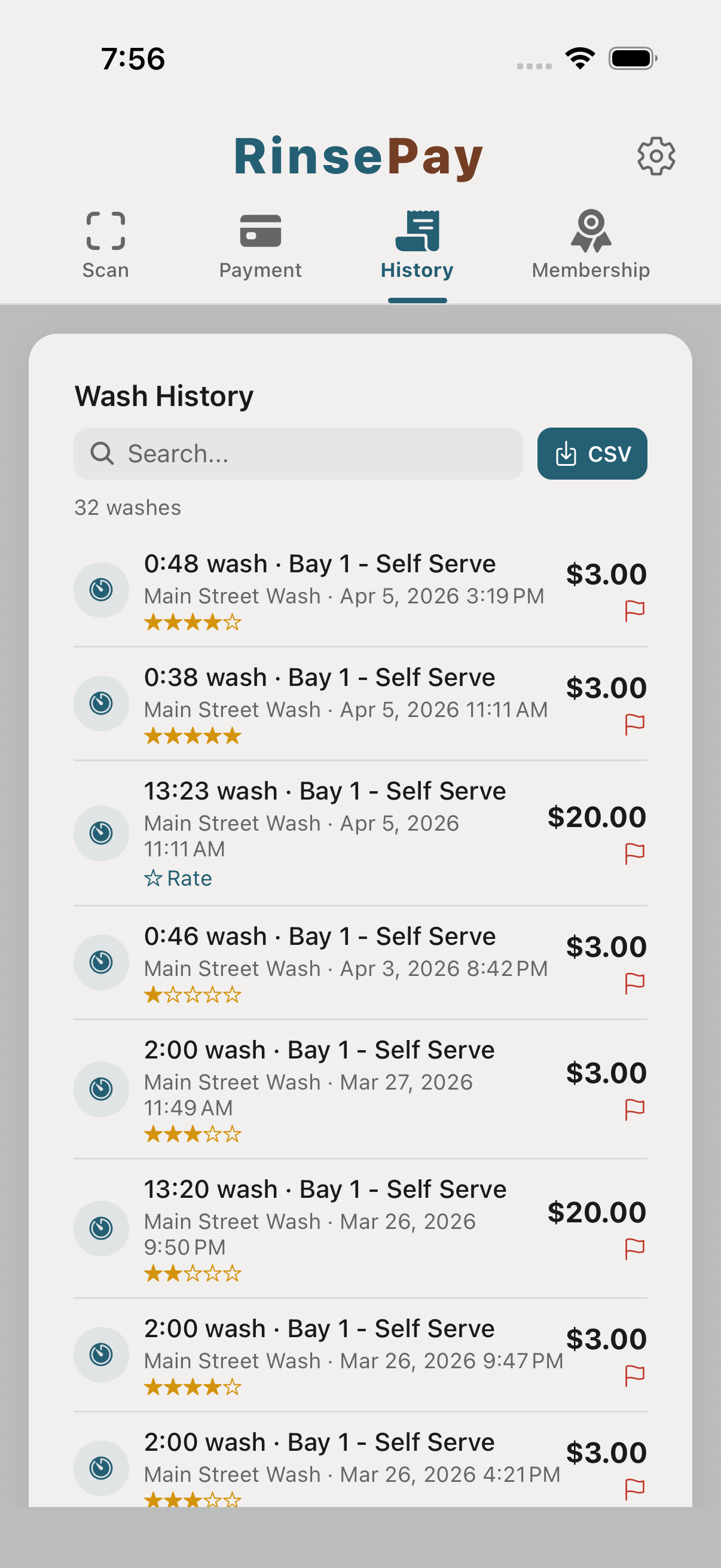 Report-a-problem flag screen.